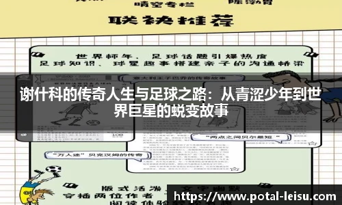 雷速直播